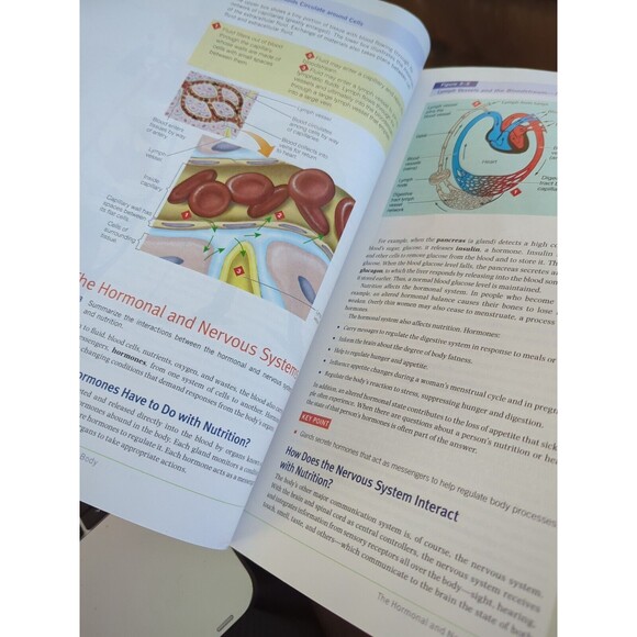 Mindtap Course List Ser.: Nutrition : Concepts and Controversies by Ellie... - Picture 2 of 4